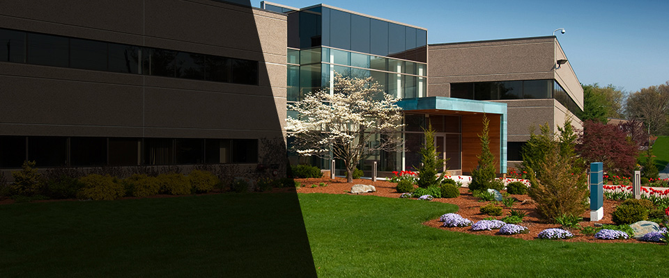 South El Monte Landscapers