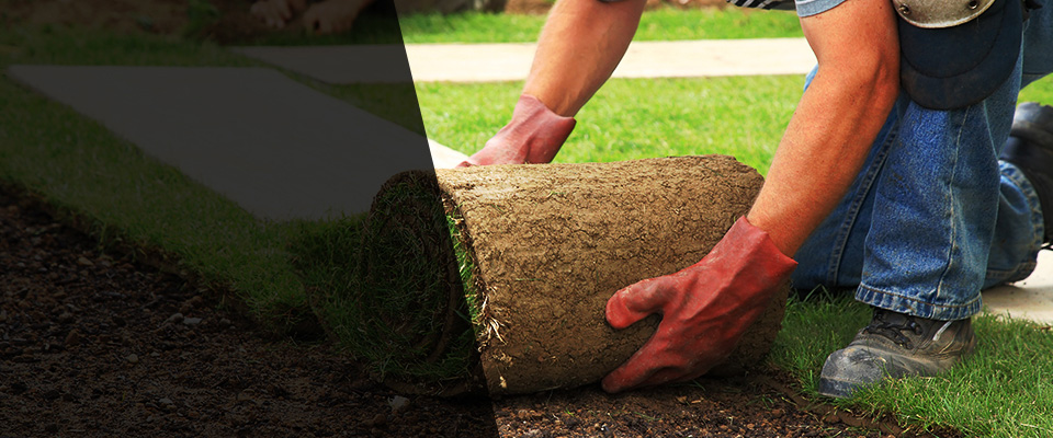 South El Monte Landscapers